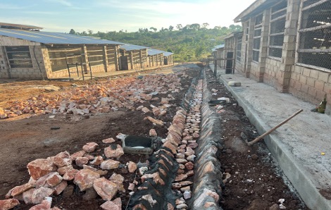 Farm Progress
